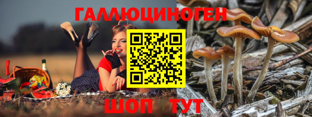 где найти   Псилоцибиновые грибы мицелий  Вход с VPN  Белгород 