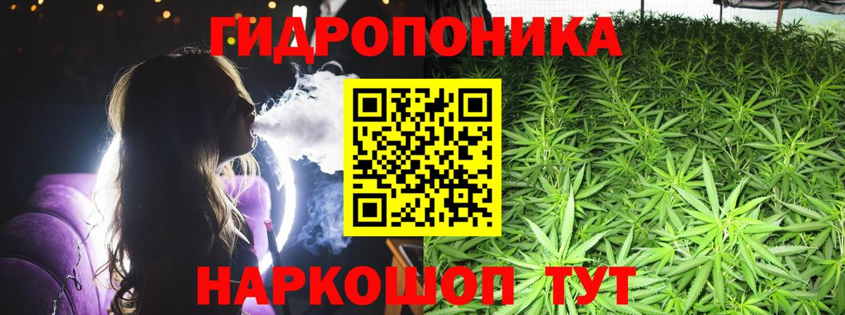 Бошки марихуана индика  Марихуана OG Kush  Вход с VPN  Бошки Шишки индика  Белгород 